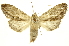  ( - INBIOCRI002036101)  @12 [ ] Copyright (2012) J. Montero INBio