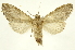  ( - INBIOCRI002036101)  @12 [ ] Copyright (2012) J. Montero INBio