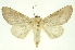  ( - INBIOCRI002038519)  @13 [ ] Copyright (2012) Juan Mata Lorenzen INBio