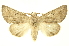  ( - INBIOCRI002038526)  @11 [ ] Copyright (2012) Juan Mata Lorenzen INBio