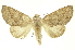  ( - INBIOCRI002038546)  @11 [ ] Copyright (2012) Juan Mata Lorenzen INBio