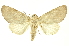  ( - INBIOCRI002038546)  @11 [ ] Copyright (2012) Juan Mata Lorenzen INBio