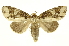  ( - INBIOCRI002038550)  @13 [ ] Copyright (2012) J. Montero INBio