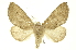  ( - INBIOCRI002052755)  @14 [ ] Copyright (2012) Juan Mata Lorenzen INBio