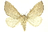  ( - INBIOCRI002052755)  @14 [ ] Copyright (2012) Juan Mata Lorenzen INBio
