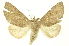  ( - INBIOCRI002052765)  @14 [ ] Copyright (2012) Juan Mata Lorenzen INBio