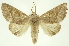  ( - INBIOCRI002105783)  @14 [ ] Copyright (2012) Juan Mata Lorenzen INBio