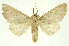  ( - INBIOCRI002105783)  @13 [ ] Copyright (2012) Juan Mata Lorenzen INBio