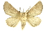  ( - INBIOCRI002109606)  @14 [ ] Copyright (2012) Juan Mata Lorenzen Unspecified