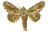  ( - INBIOCRI002113200)  @13 [ ] Copyright (2012) J. Montero INBio