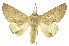  ( - INBIOCRI002118230)  @15 [ ] Copyright (2012) Juan Mata Lorenzen INBio