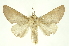  ( - INBIOCRI002118230)  @14 [ ] Copyright (2012) Juan Mata Lorenzen INBio