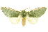  ( - INBIOCRI002125102)  @14 [ ] Copyright (2012) Juan Mata Lorenzen INBio
