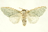  ( - INBIOCRI002125102)  @14 [ ] Copyright (2012) Juan Mata Lorenzen INBio