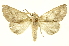  ( - INBIOCRI002132019)  @11 [ ] Copyright (2012) Juan Mata Lorenzen INBio