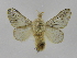  ( - INBIOCRI002133911)  @11 [ ] Copyright (2012) J. Montero Instituto Nacional de Biodiversidad