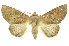  ( - INBIOCRI002140389)  @14 [ ] Copyright (2012) Juan Mata Lorenzen INBio