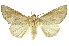  ( - INBIOCRI002140389)  @14 [ ] Copyright (2012) Juan Mata Lorenzen INBio