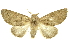  ( - INBIOCRI002142056)  @11 [ ] Copyright (2012) Juan Mata Lorenzen INBio