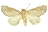  ( - INBIOCRI002142056)  @11 [ ] Copyright (2012) Juan Mata Lorenzen INBio