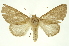  ( - INBIOCRI002143001)  @14 [ ] Copyright (2012) Juan Mata Lorenzen INBio