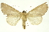  ( - INBIOCRI002143001)  @14 [ ] Copyright (2012) Juan Mata Lorenzen INBio