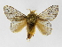  ( - INBIOCRI002168665)  @14 [ ] Copyright (2012) J. Montero Instituto Nacional de Biodiversidad