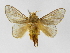  ( - INBIOCRI002168665)  @14 [ ] Copyright (2012) J. Montero Instituto Nacional de Biodiversidad