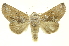  ( - INBIOCRI00217575)  @14 [ ] Copyright (2012) Juan Mata Lorenzen INBio