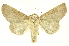  ( - INBIOCRI00217575)  @14 [ ] Copyright (2012) Juan Mata Lorenzen INBio