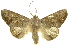  ( - INBIOCRI002184163)  @14 [ ] Copyright (2012) Juan Mata Lorenzen INBio