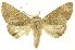  ( - INBIOCRI002192203)  @14 [ ] Copyright (2012) Juan Mata Lorenzen INBio