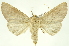  ( - INBIOCRI002192203)  @14 [ ] Copyright (2012) Juan Mata Lorenzen INBio