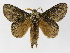  ( - INBIOCRI002192818)  @14 [ ] Copyright (2012) J. Montero Instituto Nacional de Biodiversidad