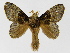  ( - INBIOCRI002193860)  @14 [ ] Copyright (2012) J. Montero Instituto Nacional de Biodiversidad