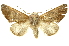  ( - INBIOCRI002200111)  @14 [ ] Copyright (2012) Juan Mata Lorenzen INBio