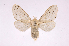  ( - INBIOCRI002206262)  @14 [ ] Copyright (2012) J. Montero Instituto Nacional de Biodiversidad