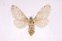  ( - INBIOCRI002206262)  @13 [ ] Copyright (2012) J. Montero Instituto Nacional de Biodiversidad