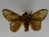  ( - INBIOCRI002212130)  @12 [ ] Copyright (2012) J. Montero Instituto Nacional de Biodiversidad