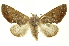  ( - INBIOCRI002213184)  @14 [ ] Copyright (2012) Juan Mata Lorenzen INBio