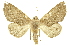  ( - INBIOCRI002239152)  @14 [ ] Copyright (2012) Juan Mata Lorenzen INBio
