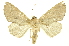  ( - INBIOCRI002239152)  @14 [ ] Copyright (2012) Juan Mata Lorenzen INBio