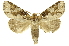  ( - INBIOCRI002239176)  @14 [ ] Copyright (2012) J. Montero INBio