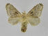  ( - INBIOCRI002242533)  @14 [ ] Copyright (2012) J. Montero Instituto Nacional de Biodiversidad