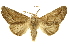  ( - INBIOCRI002248396)  @11 [ ] Copyright (2012) Juan Mata Lorenzen INBio