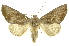  ( - INBIOCRI002250067)  @14 [ ] Copyright (2012) Juan Mata Lorenzen INBio