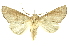  ( - INBIOCRI002321533)  @14 [ ] Copyright (2012) Juan Mata Lorenzen INBio