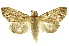  ( - INBIOCRI002339421)  @11 [ ] Copyright (2012) J. Montero INBio
