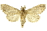  ( - INBIOCRI002339421)  @11 [ ] Copyright (2012) J. Montero INBio