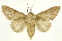  ( - INBIOCRI002339443)  @14 [ ] Copyright (2012) J. Montero INBio